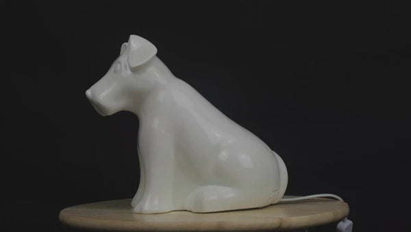 dog lamp video